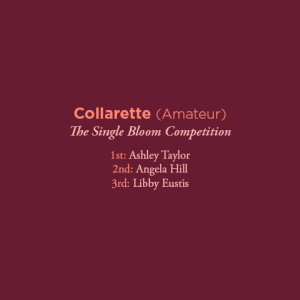 Collarette Amateur 